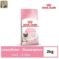 ราคา Royal Canin Starter Mother Baby Cat 2kg อาหารแม่แมวตั้งท้อง ให้นม และ ลูกแมวอายุต่ำกว่า 4 เดือน Dry Cat Food โรยัล คานิน (21451331860)