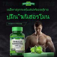 ราคา สหรัฐอเมริกานำเข้า Tribulus terrestris แคปซูล 100 ฮอร์โมนเพศชายเม็ดอาหารเสริมฮอร์โมนเพศชายฮอร์โมนเพศชายฟิตเนสสร้างกล้ามเนื้อ อาลีสุขภาพ (21555079955)