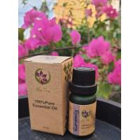 ราคา โรสแมรี่ น้ำมันหอมระเหยแท้ 100 Rosemary Essential Oil100 Natural (461530188)