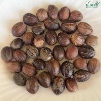 ราคา ลูกจันทน์ ผลทรงกลม 50 กรัม 100 กรัม 500 กรัม 1 กิโล ลูกจันทน์แห้ง ลูกจันทน์เทศ ลูกจันทน์ (19418496659)