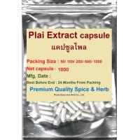 ราคา Plai capsule แคปซูลไพล 1000 capsules500 mg capsules (13508622134)