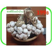 ราคา กระเทียม กระเทียมแห้ง กระเทียมน้ำปาด อุตรดิตถ์ ชาวสวนขายเอง ปลอดสาร 1000 กรัม หรือ 1 กิโลกรัมพร้อมส่ง (10399915808)