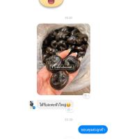 ราคา แห้วดำดิบ สดจากนา 2 กก (21509749095)