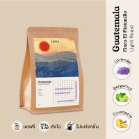 ราคา SURYA Coffee Explorers เมล็ดกาแฟ Guatemala Finca El Platanillo (21591046057)