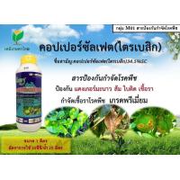ราคา คอปเปอร์ซัลเฟต ขนาด 1 ลิตร ไตรเบสิค 34 5 W V SC คอปเปอร์น้ำ (21433746740)