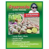 ราคา ผงแหนมสำเร็จรูปสีเขียว 10 ซอง สำหรับทำแหนมตุ้มจิ๋วหมู เนืัอวัว 1 ซองสำหรับ เนื้อสัตว์ 1 กิโลกรัม ไม่ใส่สารกันบูด ไม่ใส่สารเสริมทุกชนิด ไม่ใส่สี ทำง่าย สะดวก ทำขายกำไรดี พร้อมวิธีทำ (20436147063)