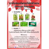 ราคา สมุนไพรแก้ผิดสำแดง ผิดกะบูน กินของผิด (21569743860)