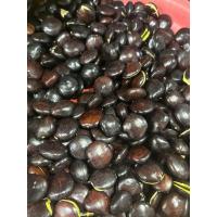 ราคา ลูกเนียง ลูกเหนียงหมาน หน่อเหรียง ปักษ์ใต้ น้ำหนัก 500กรัม (21461097930)