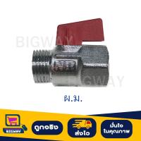 ราคา บอลวาล์วทองเหลือง ผ ม เกลียวนอก เกลียวใน ขนาด 1 2 4 หุน (21353450682)
