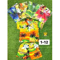 ราคา ชุดสงกรานต์ ใส่สบาย น่ารัก คละลายบ้างแบบ (18075816187)