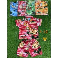 ราคา ชุดสงกรานต์ ใส่สบาย น่ารัก คละลายบ้างแบบ (18075816191)