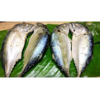 ราคา ปลาทูสด ปลาทูแม่กลอง 1 กิโล 6 8 ตัว สดไม่เค็ม (21356547587)