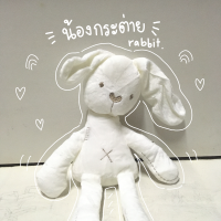 ราคา ตุ๊กตากระต่ายน้อยน่ารัก กระต่ายเน่า น้องกระต่าย (1906720496)