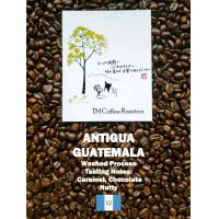 ราคา TM Coffee Roasters Antigua Guatemala Washed Process (18632167780)