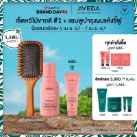 ราคา Exclusive Set 4 6 เม ย 67 Aveda เซ็ตหวีไม้ตัวดัง Mini paddle brush และ nutriplenish แชมพูเติมความชุ่มชื้นให้กับเส้นผม รับของขวัญครีมนวด 40ml (16410375145)