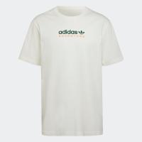 ราคา adidas ไลฟ์สไตล์ เสื้อยืด adidas Adventure Mountain Spray ผู้ชาย สีขาว HF4773 (18172838804)