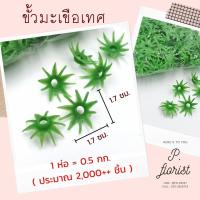 ราคา ถุงใหญ่ ขั้วดอกไม้พลาสติก ก้นดอกไม้ ขั้วชบา ขั้วมะเขือเทศ ขั้วสตอเบอรี่ ขั้วกุหลาบ ขั้วมะเขือ ก้นกุหลาบ พับเหรียญ (13962233712)