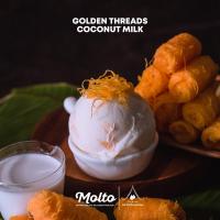 ราคา Golden Threads Coconut Milk ไอศกรีม กะทิ ฝอยทอง ไอ1 ถ้วย 16 oz Molto premium Gelato (11004084090)