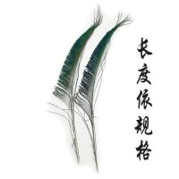 ราคา ขนนกยูงขนนกนกยูงธรรมชาติแท้แจกันใส่ของประดับตกแต่งขนนก25 100ซม (9977059212)