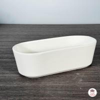 ราคา กระถางเซรามิค สีขาว กระถางแคคตัส กระถางกระบองเพชร ไม้อวบน้ำ cactus succulent (21518407061)