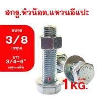 ราคา น็อต เกลียวหุนชุบขาว ขนาดหุน 3 8 ความยาว6หุน 6นิ้ว 3 4 6 สกรูหัวน็อตแหวนอีกแปะ รวม1กิโลกรัม (17625976285)