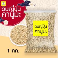 ราคา ดินญี่่ปุ่นคานูมะ Kanuma ดินคานูมะ ดินญี่ปุ่นนำเข้าจากญี่ปุ่น ส่วนผสมดินปลูกบอนไซ แคคตัส ไม้อวบน้ํา ราคาถูก (20865535661)