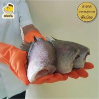 ราคา พร้อมส่ง สลิดกัน Salidkhan ปลาสลิดแดดเดียวทอดพร้อมทาน Size XL 5 6 ตัว กิโลกรัม (18794040183)