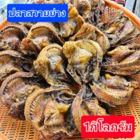 ราคา ปลาสวายย่างรมควัน ริมเขื่อน หอมๆ 1กิโลกรัม 8 10ตัว กก (21495297204)