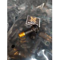 ราคา จุ๊บลมยาง TR413 SPA สินค้าคุณภาพ ได้มาตรฐาน จำนวน 100 ชิ้น (19628171058)