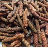 ราคา ดีปลีตากแห้ง ดีปรี ความจุ 500 กรัม (12622958829)