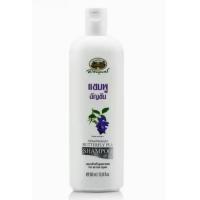 ราคา Abhaibhubejhr Butterfly Pea Shampoo and Conditioner แชมพู และ ครีมนวดผม อัญชัน อภัยภูเบศร์ สมุนไพรบำรุงเส้นผม (21205208768)