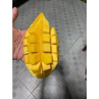 ราคา มะม่วงน้ำดอกไม้สีทอง อินทรีย์แทั100 รสชาติหวาน หอม อร่อย พร้อมทาน เก็บแก่จัด ส่งตรงจากสวนที่หนองบัวลำภู เราเก็บมะม่วงแก่จัด หากถึงมือลูกค้าแล้ว หากยังไม่สุก ให้บ่มไว้สักสองหรือสามวันจะสุกกำลังดี (2127