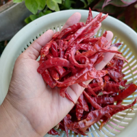 ราคา พริกจินดาแห้ง แบบไม่มีกาน พริกขี้หนูเม็ดใหญ่ สีแดง สะอาด บรรจุ 50 กรัม ถุง พร้อมส่ง (21507438579)