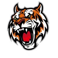 ราคา ตัวรีดติดลายเสื้อ TK 37 ลายเสือ หน้าเสือ ลายติดเสื้อ เท่ห์ๆๆ แผ๋นฟิล์มรีดร้อน (19939604443)