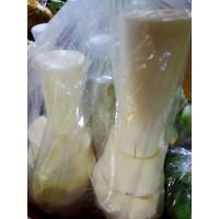 ราคา สดจากฟาร์ม ยอดมะพร้าวอ่อนสดๆขายถูกกิโลกรัมละ 80 บาท ราคาส่ง ราคาถูก ที่สุด (21411077238)