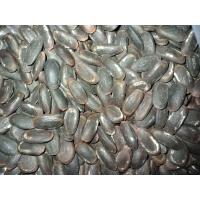 ราคา เม็ดเหรียง เม็ดหน่อเหรียงสำหรับนำไปเพาะขนาดครึ่งกิโลกรัม (21465895273)