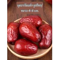 ราคา พุทราจีนแห้ง คัดพิเศษ ลูกใหญ่ ขนาด 4 5 cm พรีเมี่ยม เนื้อฟู หวานธรรมชาติ ไม่ขม เมล็ดเล็ก (18578413794)