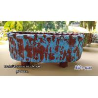 ราคา กระถางแคคตัสและสวนถาด ทรงรี พร้อมขาตั้งในตัว ดินเผาทำสี สไตล์โมเดิร์น (21483224719)