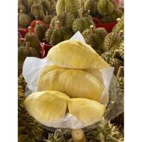 ราคา ทุเรียนหมอนทองจันทบุรีแกะเนื้อ (20817486397)