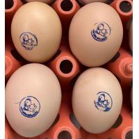 ราคา ไข่เชื้อไก่ประดู่หางดำ ฟองละ 30 บาท รับ 10 ฟอง แถมฟรีเพิ่มให้อีก 2 ฟอง (21569249248)