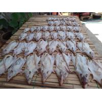 ราคา หนู 2 กิโล ราคาถูกสุด ราคารวมลังโฟม (21251634030)