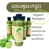 ราคา โปร 2 ขวด แชมพูมะกรูดสูตรออร์แกนิค Organic Ultimate Repair ฟื้นฟูหนังศีรษะบรรเทาคันด้วยสารสกัดสมุนไพรธรรมชาติ 360ml (14570919543)
