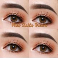ราคา คอนแทคเลนส์ รุ่น Mini stella สีเทา ตาล gray brown มีค่าสายตา 0 00 7 00 (16446182737)
