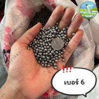 ราคา ลูกตะกั่ว ขายเป็นกิโล เบอร์ 1 8 ตะกั่วนก ตะกั่วหนู ตะกั่วเม็ด ตะกั่ว (21447095032)