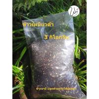 ราคา ข้าวเหนียวดำ ใช้ปุ๋ยคอก (21334264177)