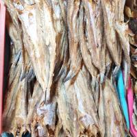 ราคา ปลาจิ๊กโก๋ ปลาช่อนทะเล ตัวใหญ่ น้ำหนัก 1 กิโลกรัม สะอาด ใหม่ ทำน้ำพริก ย่าง แกง อร่อย อาหารทะเลแห้ง (21010608046)