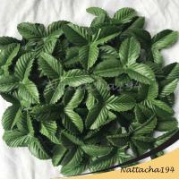 ราคา ใบไม้ปลอม กลีบเลี้ยง ใบไม้ 3 แฉก ใบไม้ตกแต่ง ใบไม้ประดิษฐ์ (21426273184)