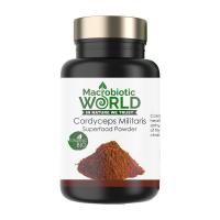 ราคา Organic Bio Cordyceps Militaris Powder ผงถั่งเช่าสีทอง 100g (2965514580)