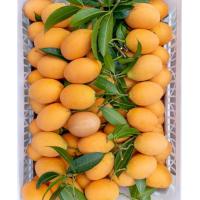 ราคา มะยงชิด มะปรางหวานกรอบอร่อยปลอดสารพิษพร้อมจัดส่งจร้า1กิโลกรัม199 (21544480400)