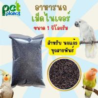 ราคา 1kg อาหารนก เมล็ดไนเจอร์ Niger Seed อาหารสำหรับ นก นกแก้ว ทุกสายพันธ์ เลิฟเบิร์ด กรีนชีค ค็อกคาเทล ซันคอนัวร์ (21596207202)
